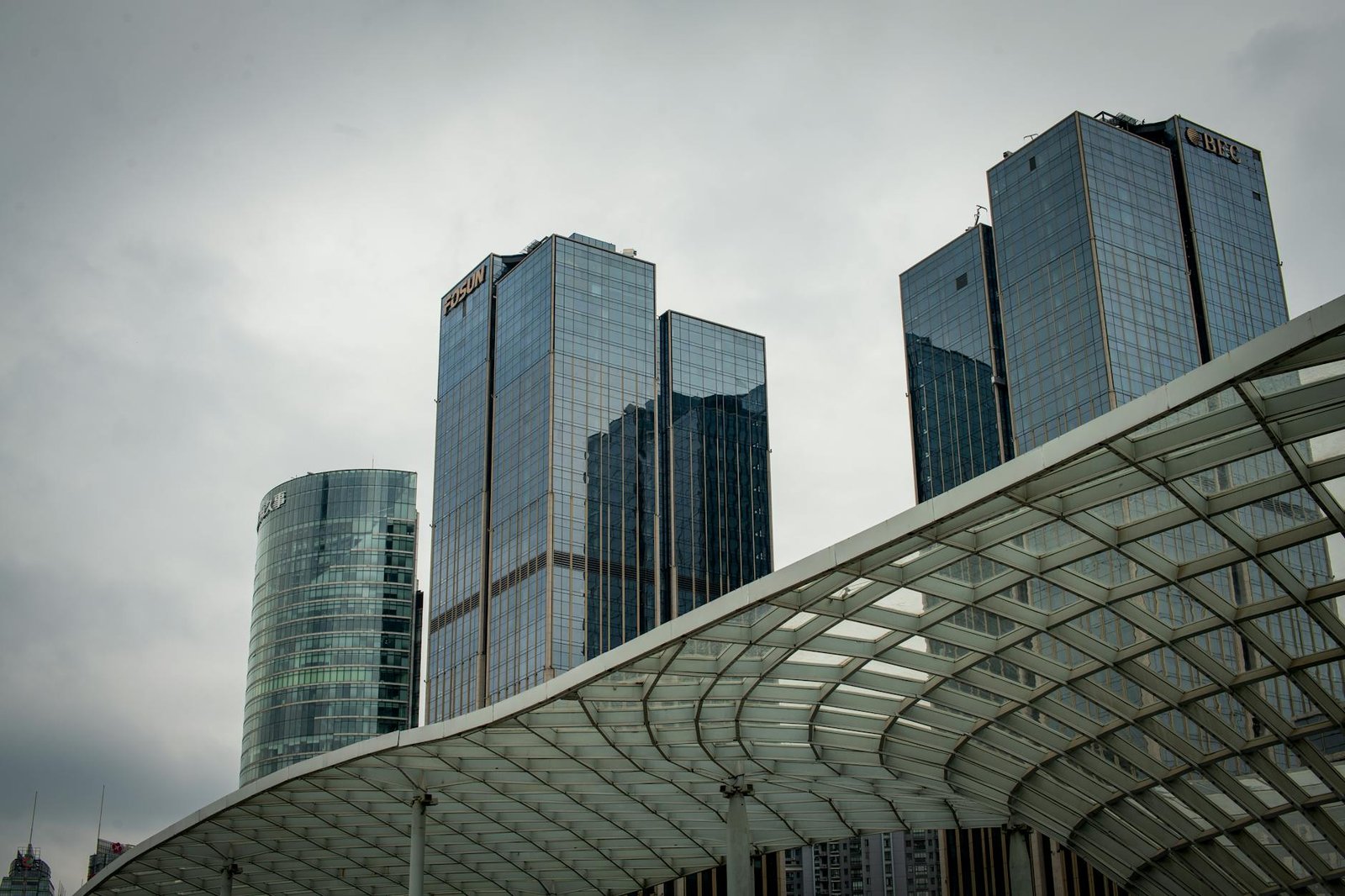 Understanding Trading Psychology in Forex